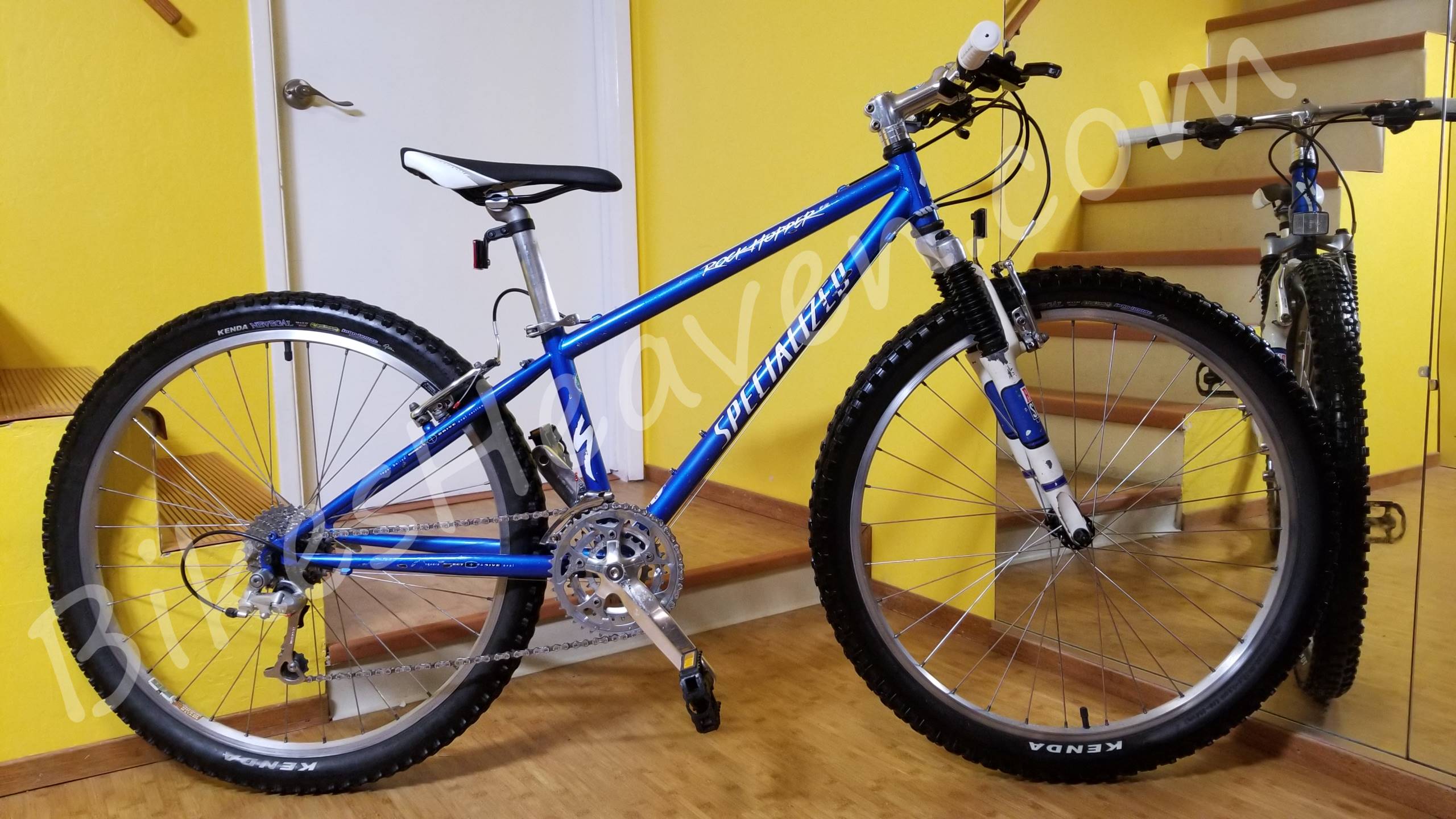 specialized rockhopper blue and yellow